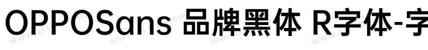 OPPOSans 品牌黑体 R字体字体转换